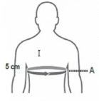 Sparco Ribprotectors Size Guide